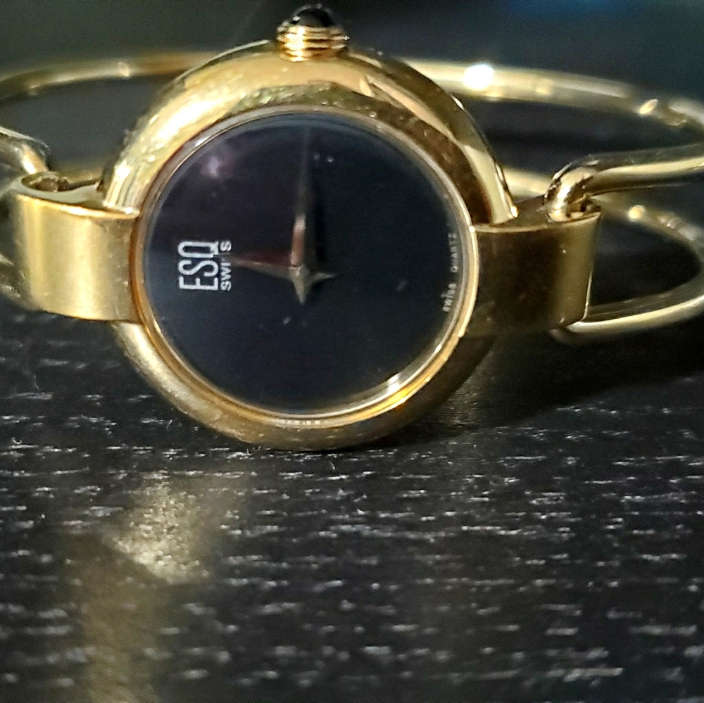 Ladies ESQ bracelet watch
